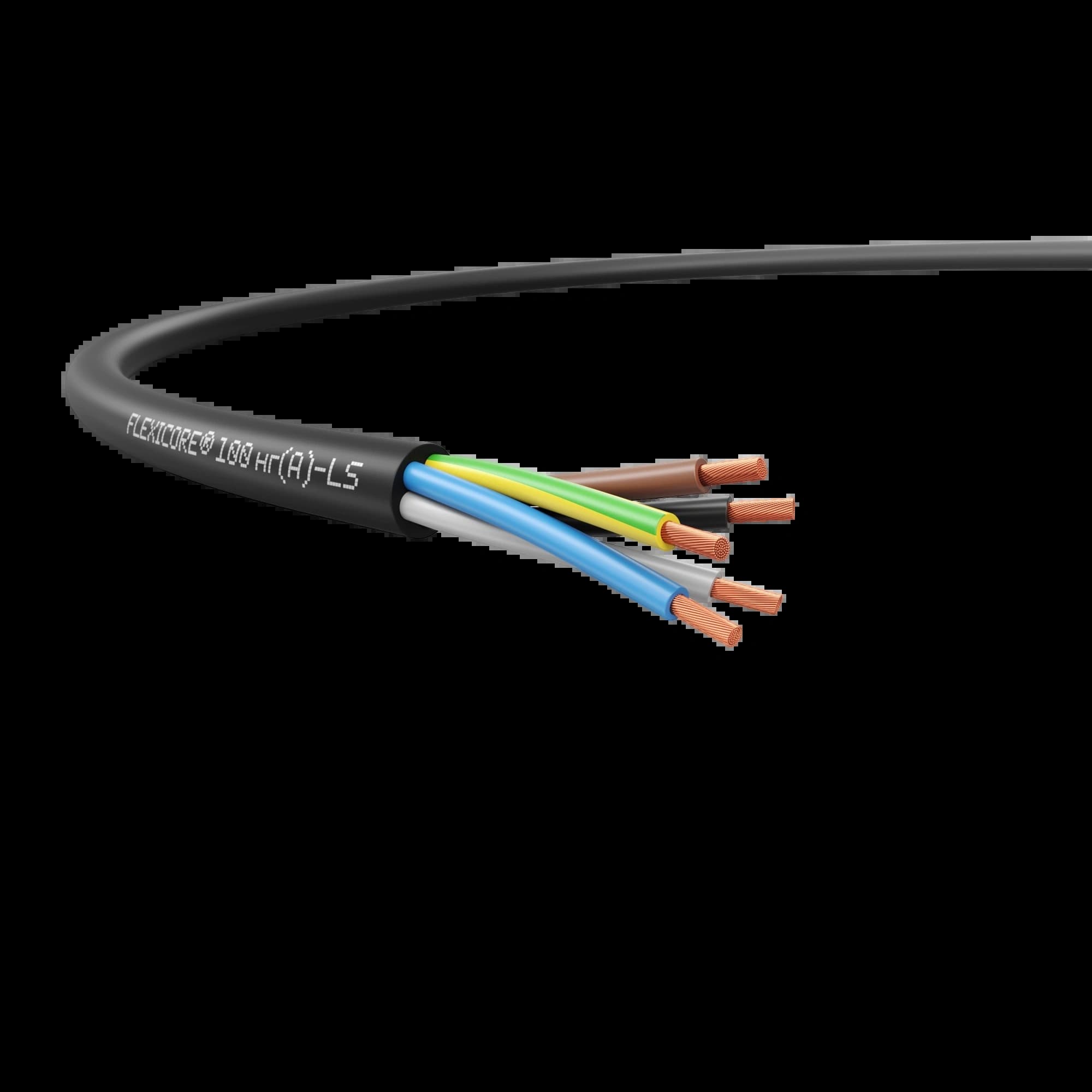 3120000060_FLEXICORE 100 нг(А)-LS 7G2.5 _1