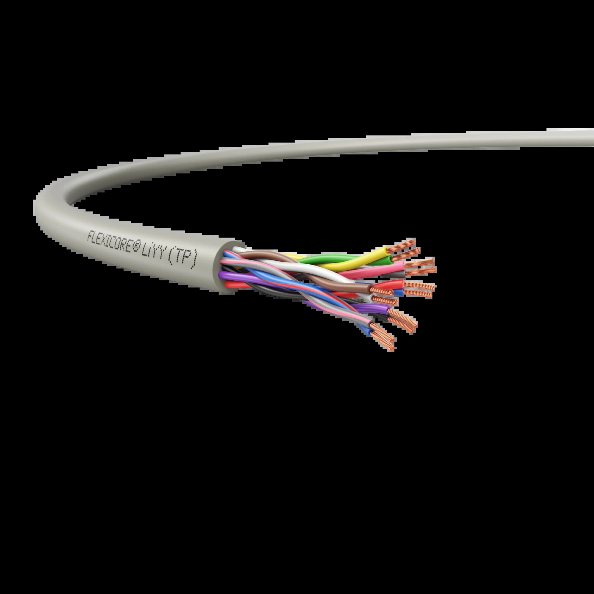 3120001918_FLEXICORE LiYY (TP) 10x2x0.25_1