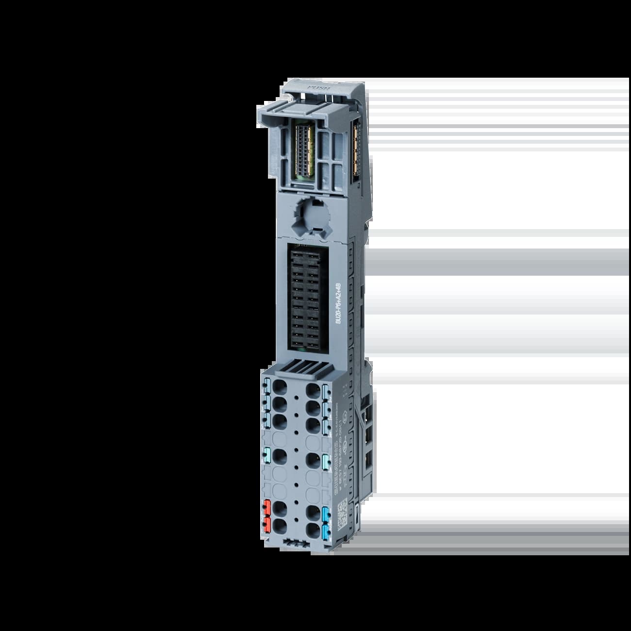 6ES7193-6BP20-0BC1_Базовый блок C1-BU20-P6+A2+4B тёмный_1