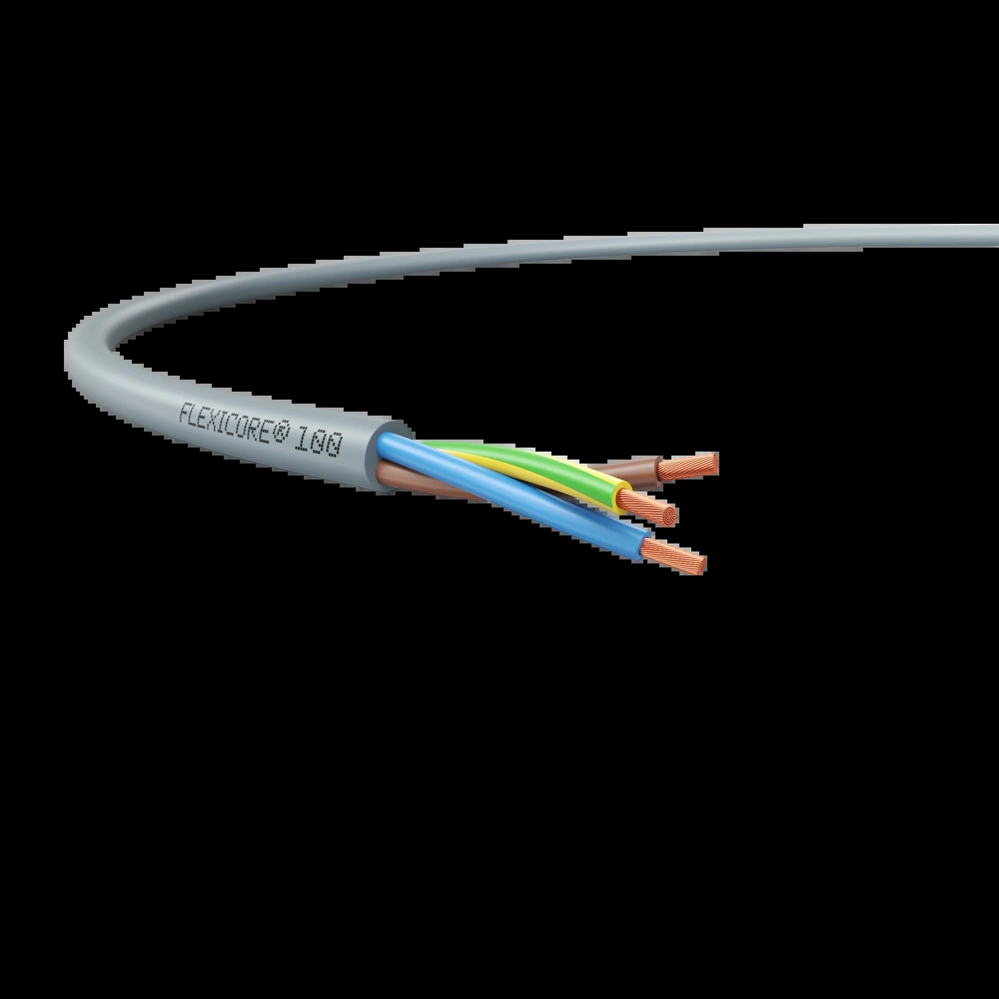 3120000090_FLEXICORE 100 3G6 _1